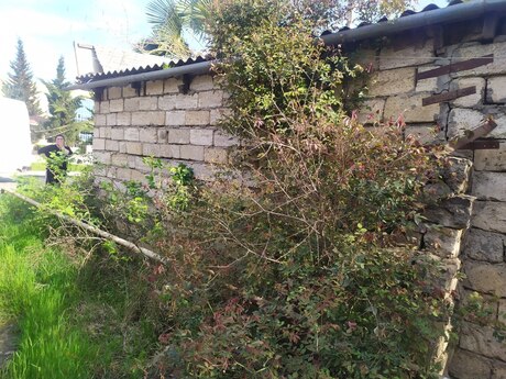 Obyekt - Cəlilabad - 43.4 m²