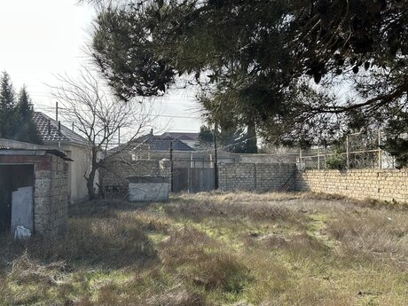 Albalılıq q.