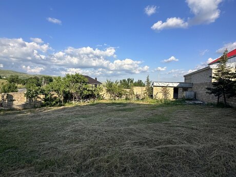 Şamaxı