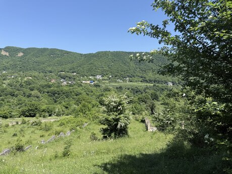 Губа
