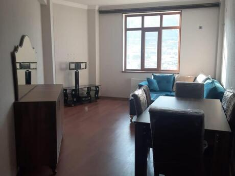 Bayıl q.