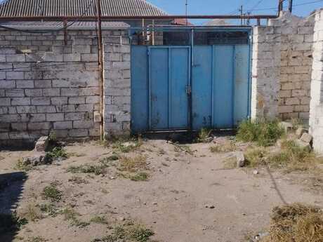 Buzovna q.