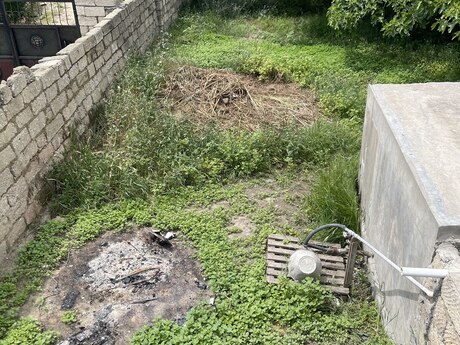 Zığ q.