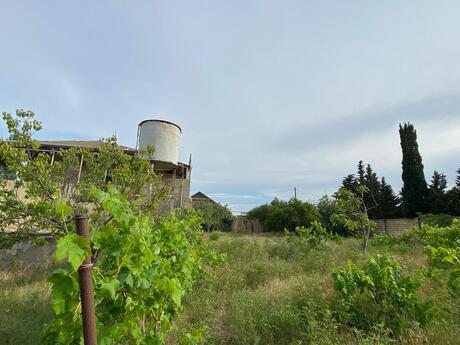 8-room house, 225 m², Novxanı: 445 000 ₼ 4