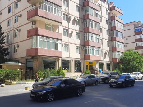 Şah İsmayıl Xətai m.