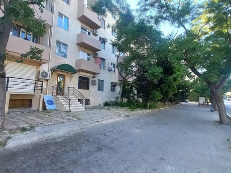 Elmlər Akademiyası m.
