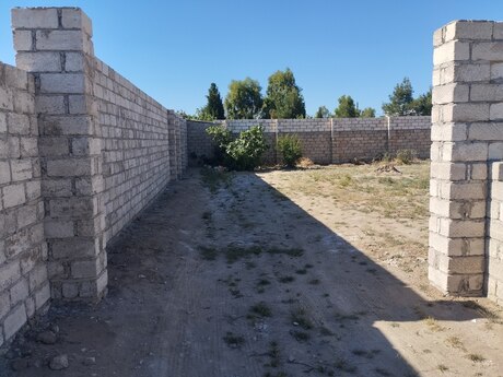 Albalılıq q.
