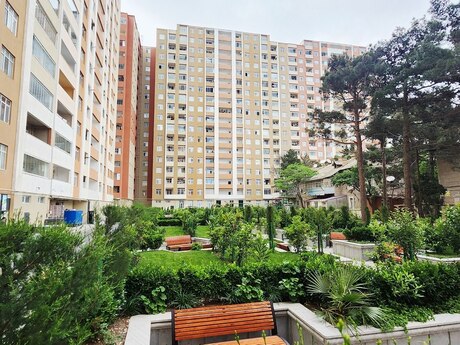 Qara Qarayev m.