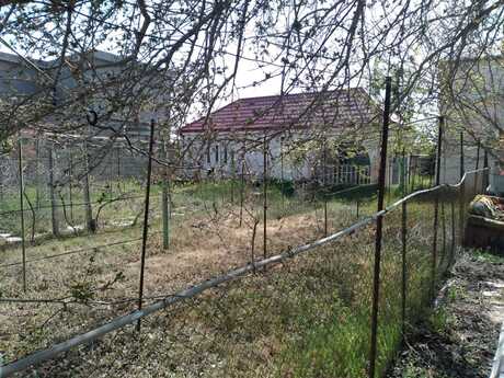 Nardaran q.