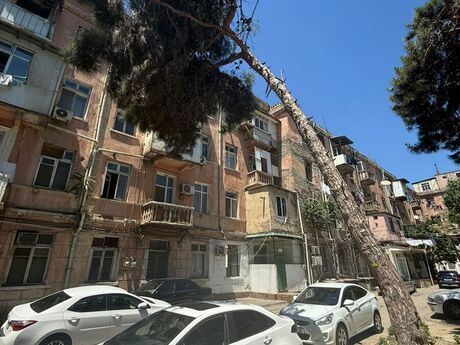 Elan №6222591 - Bakı, Nəriman Nərimanov m., 1 otaqlı, 25 m², 1/4 mərtəbə