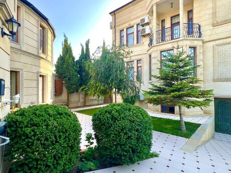 Novxanı q.