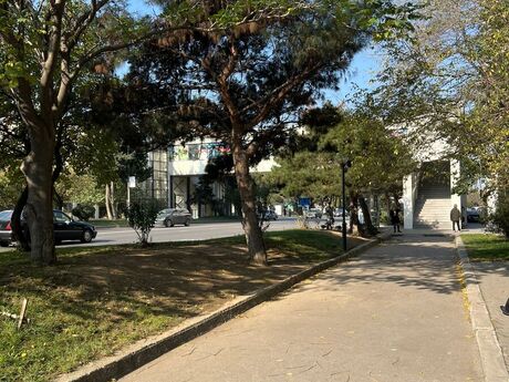 Elan №6223893 - Bakı, Azadlıq Prospekti m., 120 m²