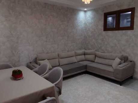 Zığ q.