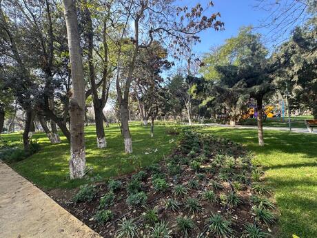 2 otaqlı mənzil, 64 m², Nərimanov: 198 000 ₼ 3