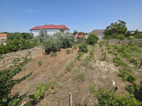Pirşağı q.