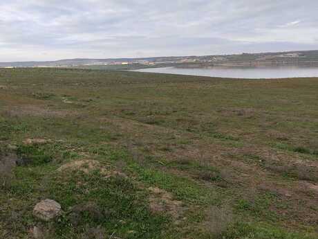 Novxanı q.