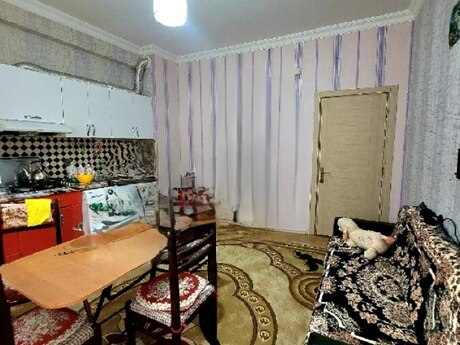 Гянджа