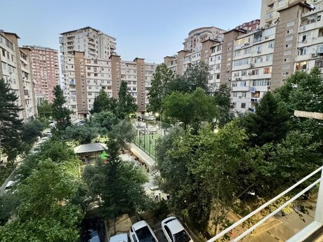 Yeni Yasamal q.