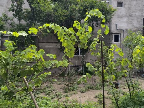 4 otaqlı həyət evi, 130 m², Novxanı: 135 000 ₼ 4