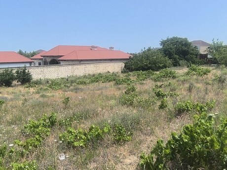 пос. Новханы