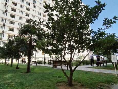Elan №6226859 - Bakı, 20 Yanvar m., 2 otaqlı, 95 m², 8/18 mərtəbə