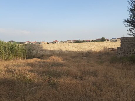 Kürdəxanı q.