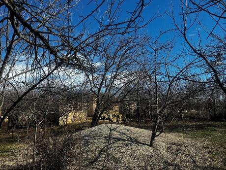 Şamaxı
