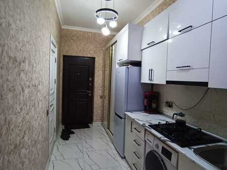 Объявление №6227786 - Баку, м. 28 мая, 2-комн., 44 м², 7/16 этаж