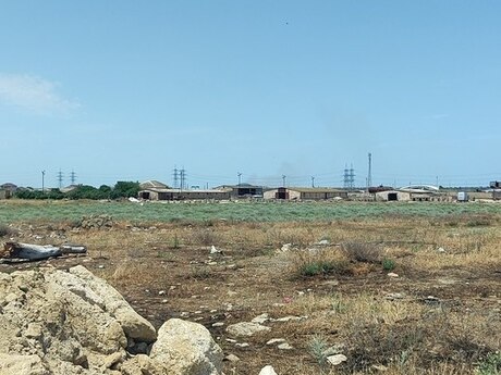 Suraxanı r.