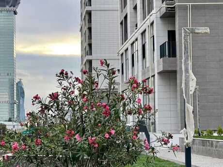 2 otaqlı mənzil, 108 m², BCR Olimpik: 292 000 ₼ 3