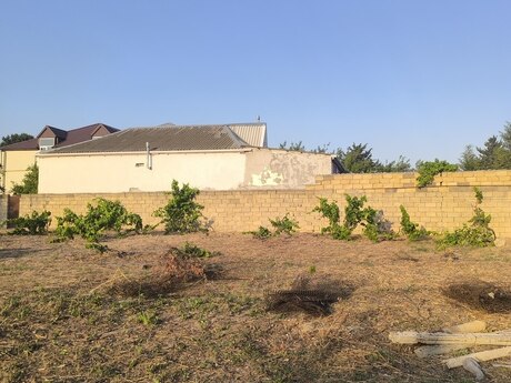 Novxanı q.
