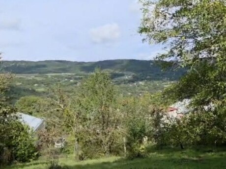 Губа