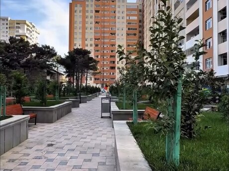 м. Кара Караев