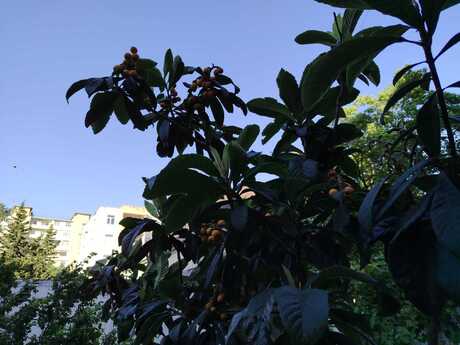 3 otaqlı mənzil, 70 m², Neftçilər: 185 000 ₼ 4