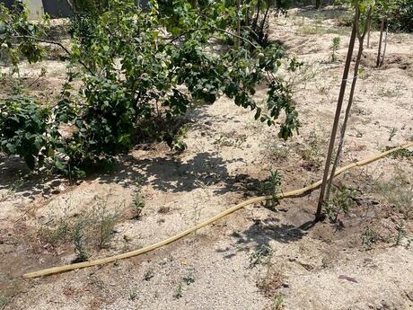 4 otaqlı həyət evi, 150 m², Novxanı: 260 000 ₼ 5