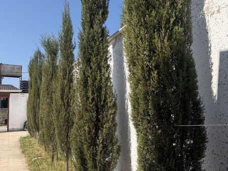 4 otaqlı həyət evi, 134 m², Albalılıq: 215 000 ₼ 2