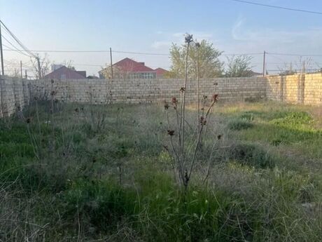 Объявление №6233476 - Баку, пос. Нардаран, 5 сот