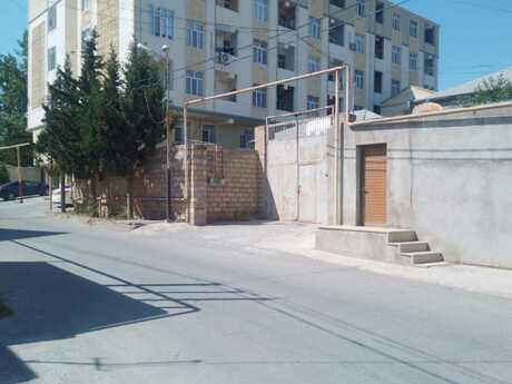 Masazır q.