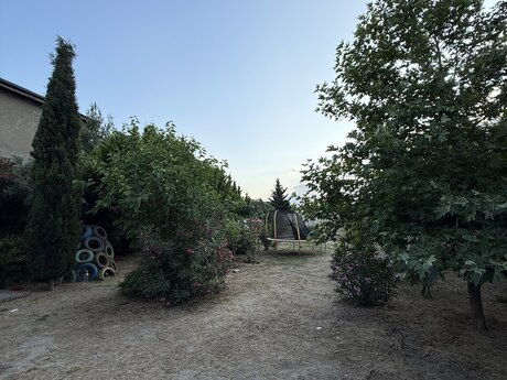 Albalılıq q.