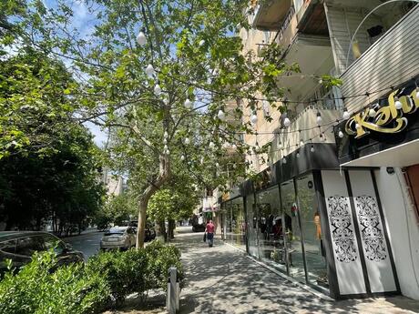 Obyekt - Elmlər Akademiyası m. - 230 m²