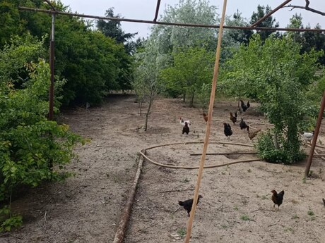 Участок - пос. Бильгях - 6 сот