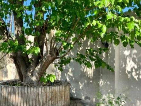 3 otaqlı həyət evi, 200 m², Pirşağı: 195 000 ₼ 2