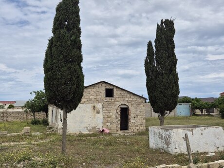 Qala q.