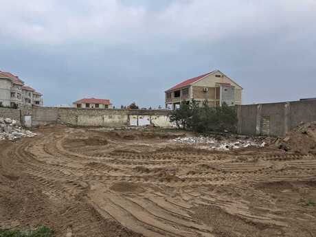 Nardaran q.