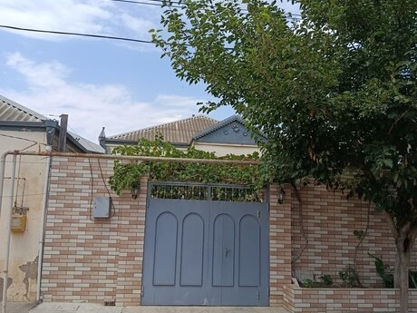 Qaraçuxur q.