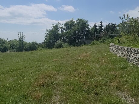 Şamaxı