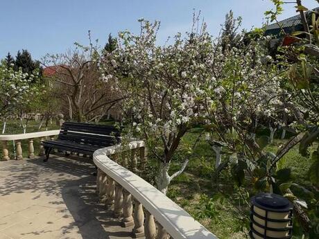 6 otaqlı həyət evi, 400 m², Badamdar: 3 000 000 ₼ 5
