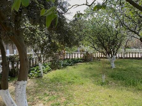 6 otaqlı həyət evi, 400 m², Badamdar: 3 000 000 ₼ 4