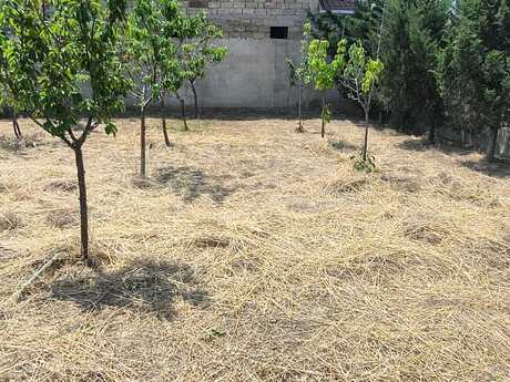 Elan №6236941 - Bakı, Badamdar q., 3.5 sot
