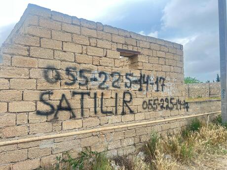 Türkan q.